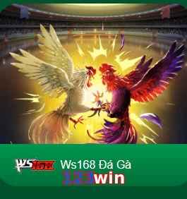 123win